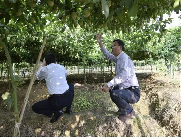 实亿国际(中国)官方网站