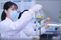 巾帼不让须眉，她们获省级巾帼文明岗声誉