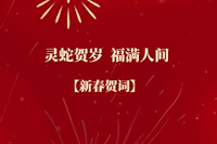 珠海实亿国际集团恭祝全市人民新春快乐！